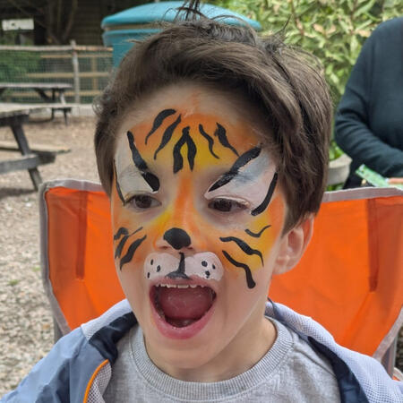 Face paint full face - rainbow butterfly